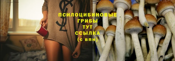 apvp Алексин