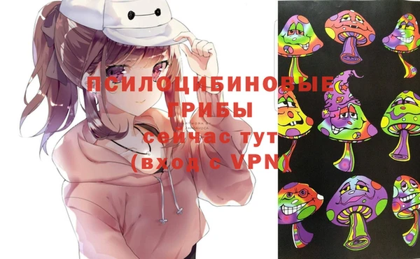 Альфа ПВП Алзамай