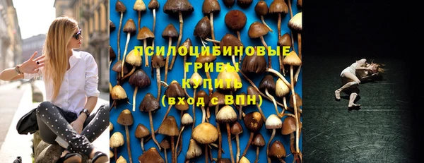 apvp Алексин