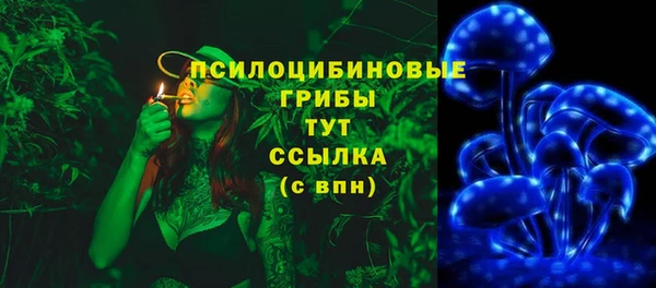 Альфа ПВП Алзамай