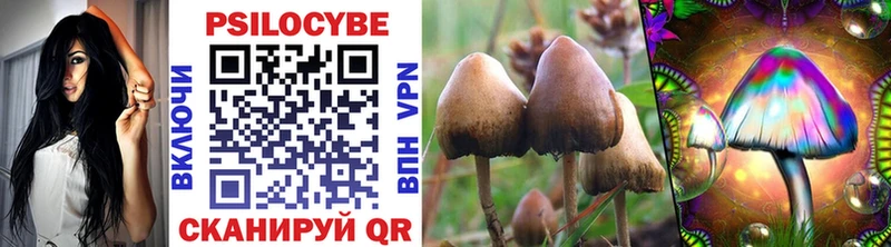 наркотики  Дудинка  Галлюциногенные грибы Psilocybe 